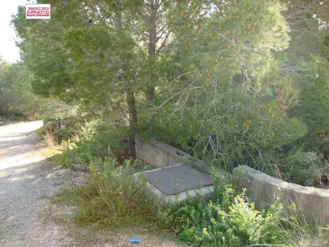 VENTA DE PARCELA EN CATADAU — 3