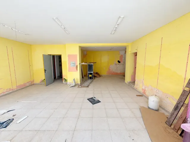 OPORTUNIDAD PROMOTORA — 8