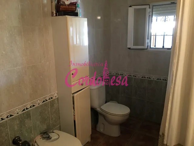 MAGNIFICO CASA CON TERRRENO EN ALCOLEA!! — 15