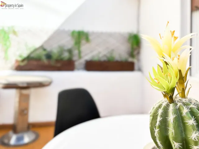 Habitación doble, vivienda reformada — 29