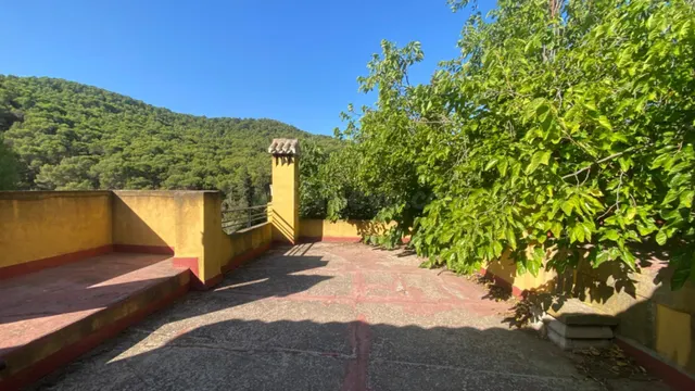 ESPECTACULAR FINCA DE 32 HECTAREAS IDEAL PARA DESCONECTAR O INVERSION PARA COMPLEJO RURAL — 24