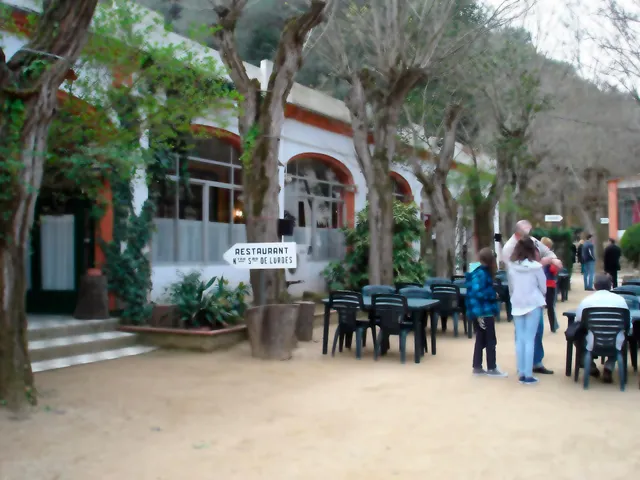 Finca rústica de 9 hectáreas en Arenys de Munt — 45