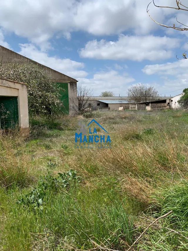 INMOBILIARIA LA MANCHA VENDE TERRENO/PARCELA EN LA GINETA - foto 5