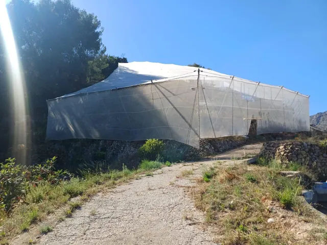 PARCELA DE TERRENO CON CASA CONSTRUIDA Y ARBOLES FRUTALES — 25