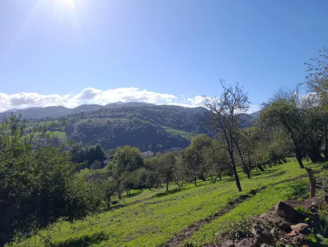 Terreno urbano en venta - Trubia — 15