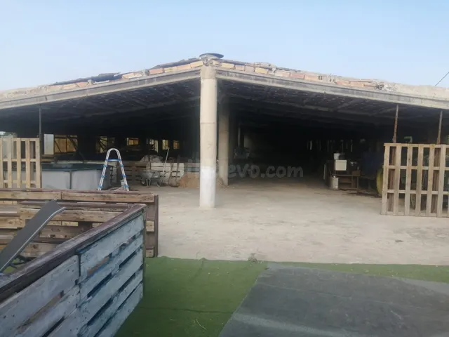 Gran oportunidad agrícola en Ulldecona: Finca rústica con gr - foto 3