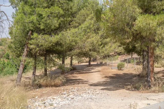 Terreno en Cortijo de la Luz ¡Tu futuro empieza aquí! — 33