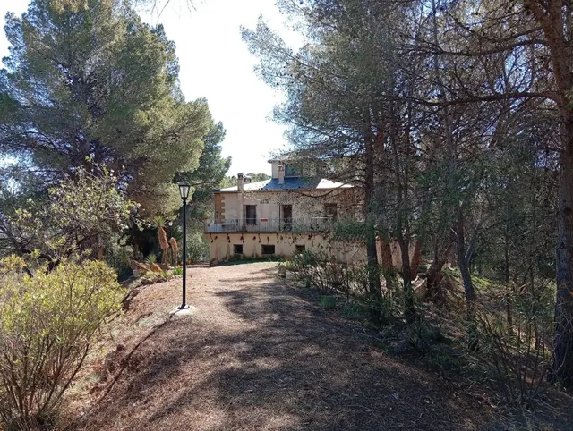 VENTA FINCA RUSTICA CON CASA EN ONIL--ZONA "EL TORMO" - foto 2