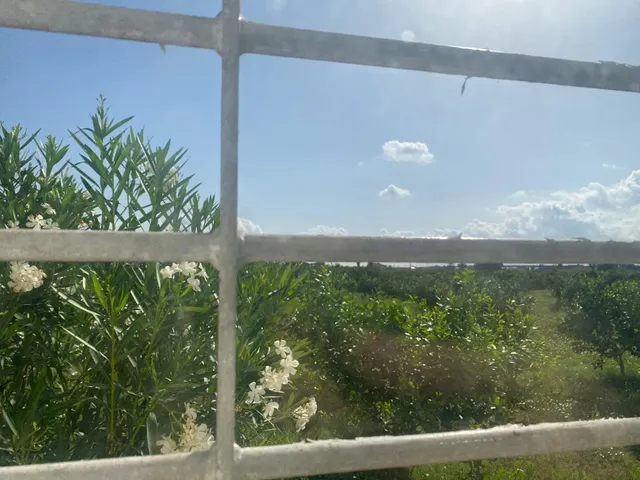 Casa en venta — 27