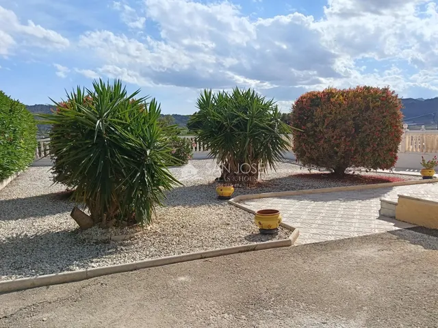 SE VENDE CHALET CON PISCINA EN BUEN ESTADO EN ASPE — 26