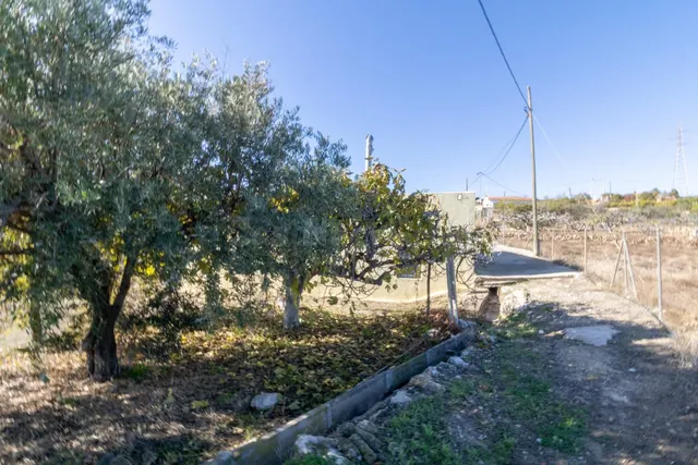 TERRENO RÚSTICO DE ALHAMA DE ALMERÍA - foto 2