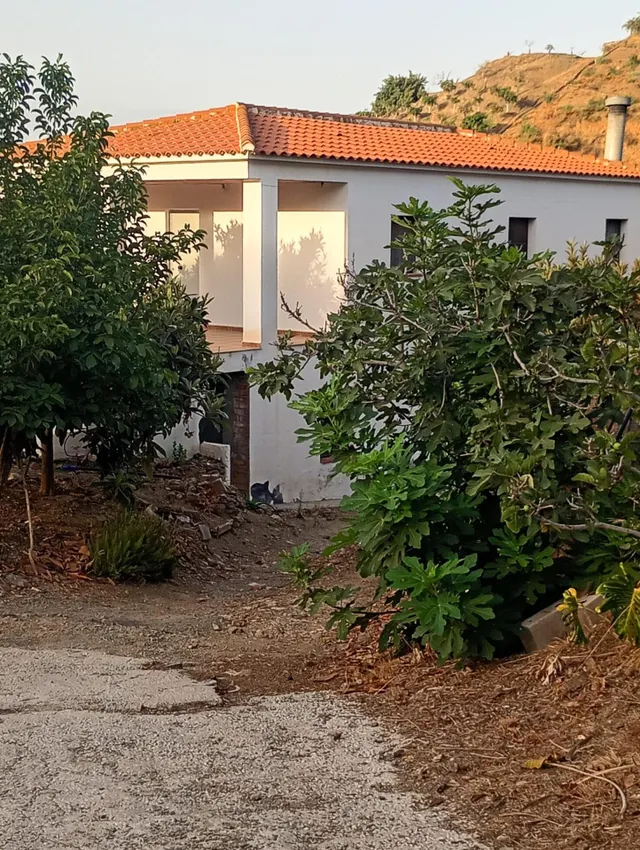 Finca rústica con cultivos y pozos propios en Vélez-Málaga — 13