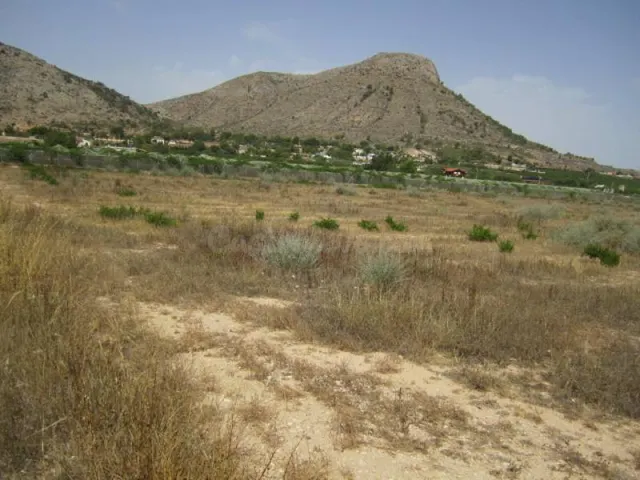 SE VENDE TERRENO EN ASPE