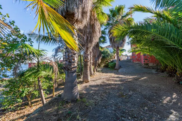 ESPECTACULARES CASITAS  CON 1034 M2 DE TERRENO — 7