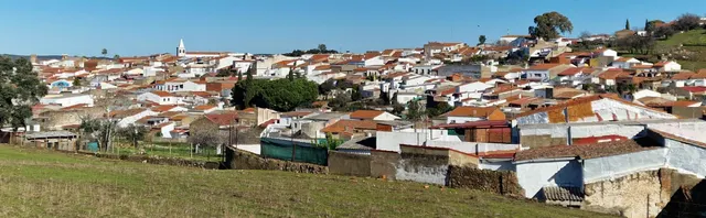 ALQUILER CHALET CON PARCELA EN HIGUERA DE VARGAS — 48