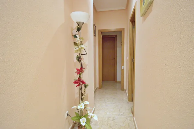 PLANTA BAJA SEMINUEVA — 12