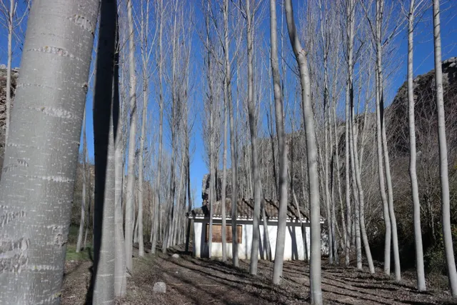 Los Tajos, monumento natural con casa y chiringuito. Finca en Alhama de Granada. — 20