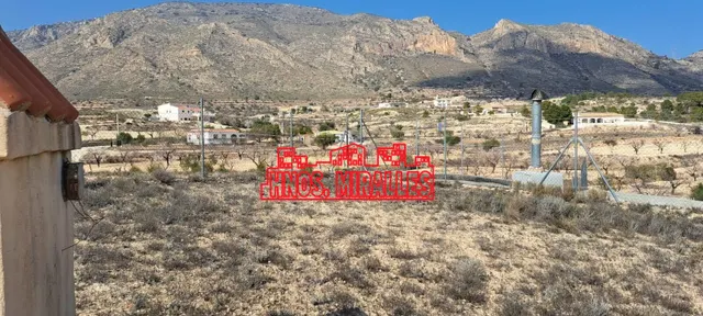 SE VENDE CASA CUEVA EN HONDON DE LAS NIEVES — 8
