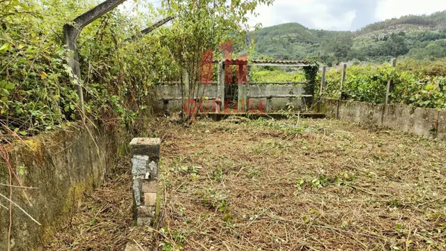 FINCA RUSTICA CON VISTAS AL RÍO MUY CERCA DE RIBADAVIA. — 6