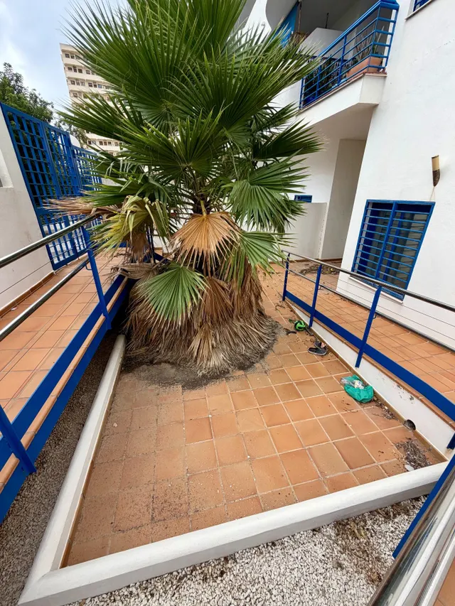 APARTAMENTO EN BENALMADENA COSTA (LOS PATOS) A 250 M DEL MAR — 15