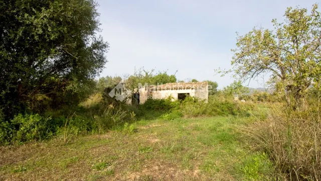 Finca rústica 1 habitación 68m² en venta - Campanet-Buger