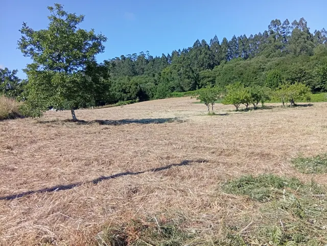Terreno urbano en Laraxe, Cabanas. — 12