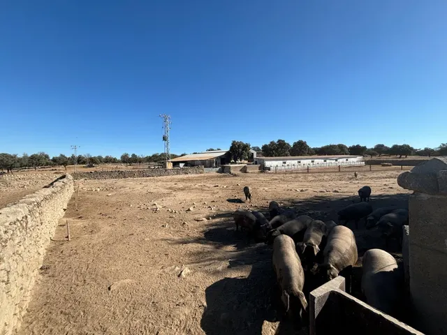 Venta de Finca Agricola y Ganadera - foto 3