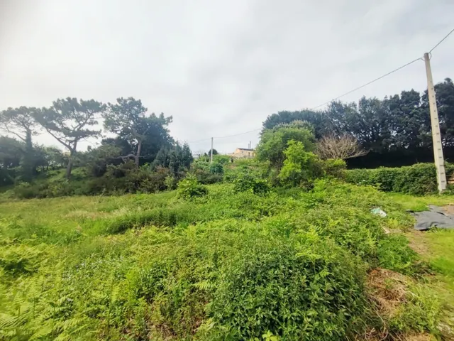 Gran oportunidad en El Viso – Tapia de Casariego - foto 2
