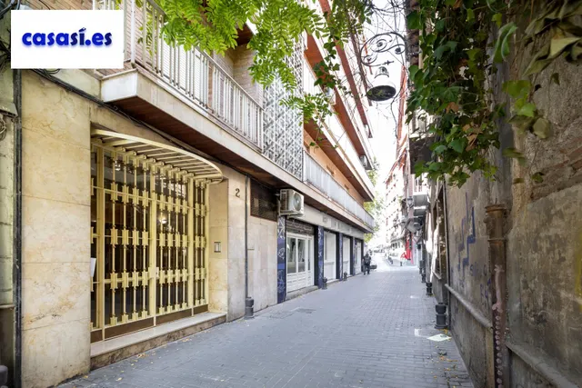 ✨ EXCLUSIVA VIVIENDA REFORMADA EN PLAZA MARIANA PINEDA — 30