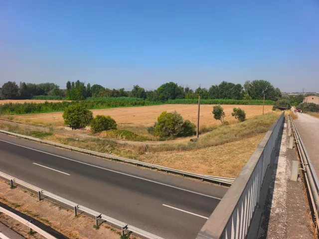 Fincas rústicas en Lleida – venta conjunta — 9
