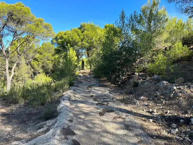 TERRENO EN ALBALAT DELS TARONGERS — 6