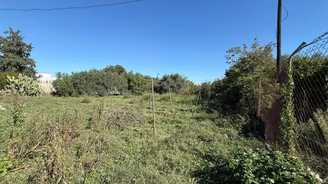 Oportunidad de Inversión en Terreno Rústico - La Alberca, Murcia — 4