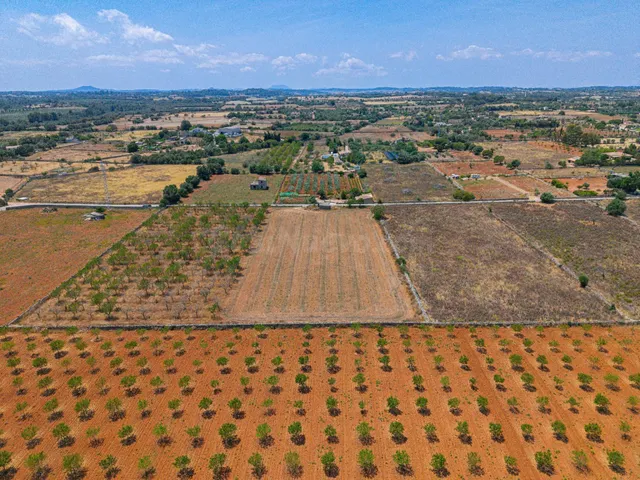 Terreno urbanizable en Can Picafort CON LICENCIA Y PROYECTO  - foto 5