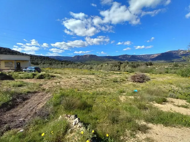Terreno rural en l'Aleixar — 6