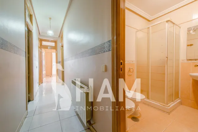 Piso 6 habitaciones 151m² en venta - San Nicasio — 21