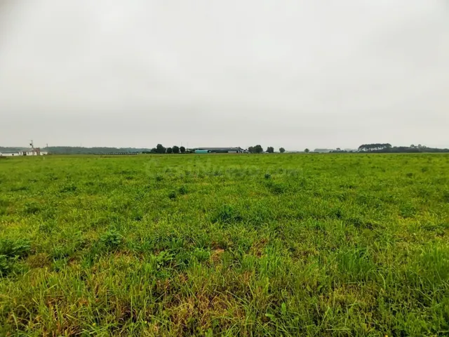 Parcela urbana edificable en Brul (Castropol) – 1.367 m2 – i - foto 3