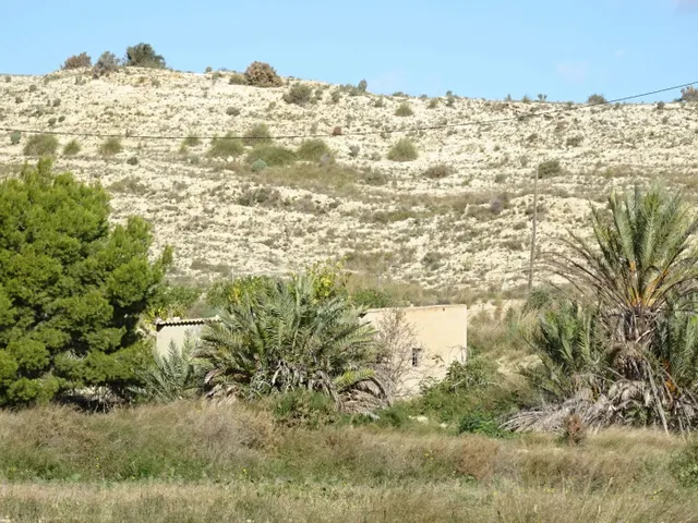 SE VENDE PARCELA DE 20814 M2 CON ALMACÉN DE 45 M2 EN ASPE ZO - foto 2