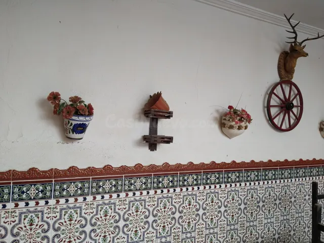 Disfruta con los tuyos - foto 5