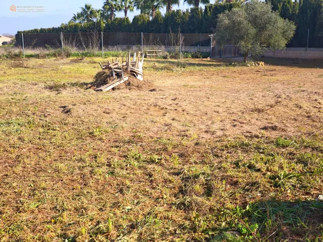 Parcela Rústica de 2.689 m2 en Felanitx â Zona Segona Volt - foto 4