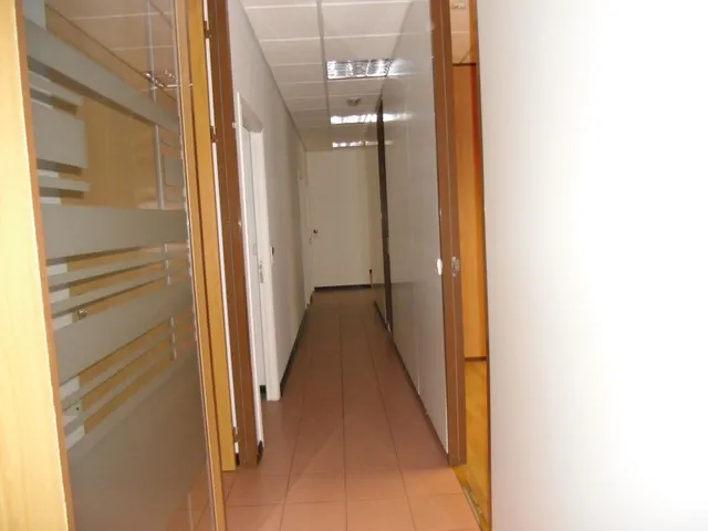ESTUPENDO LOCAL COMERCIAL AL LADO DE LA GRAN VIA Y PASEO CANALEJAS — 14