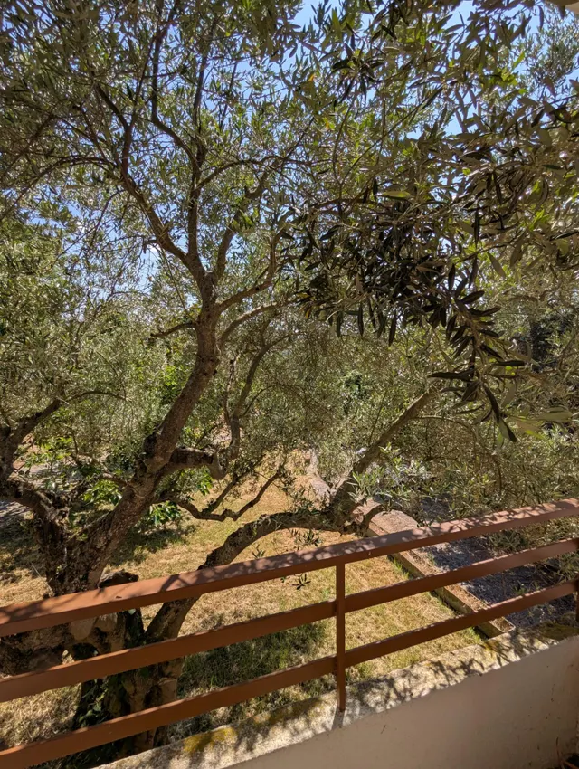 Casa en Estella — 49