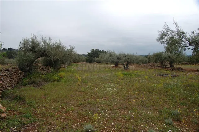 Finca rústica en venta - Afueras del pueblo — 4