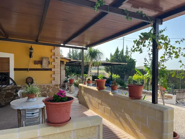 CAMPO DE FORTUNA 616652603 — 31