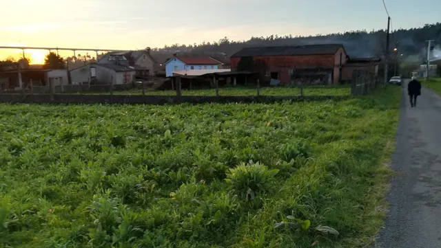 TERRENO Y EDIFICIO EN VENTA - foto 3