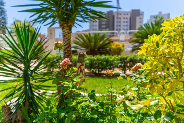 Apartamento de 1 dormitorio en décima planta en pau v — 25