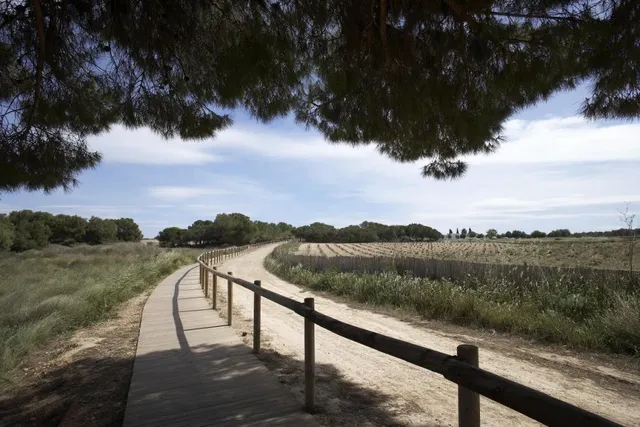 Nueva Promoción de villas en Torrevieja, a 2 km del Mar — 9