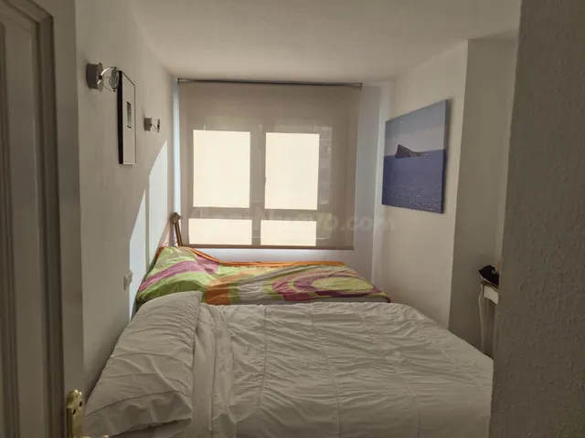 PISO AMUEBLADO CON PISCINA EN BENIDORM CENTRO | 1 DORMITORIO - foto 3