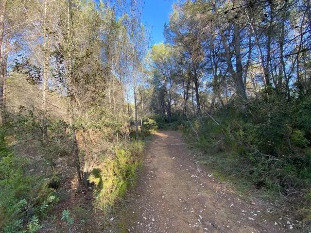 OPORTUNIDAD ENORME TERRENO EN VENTA POR 150.000€ — 34