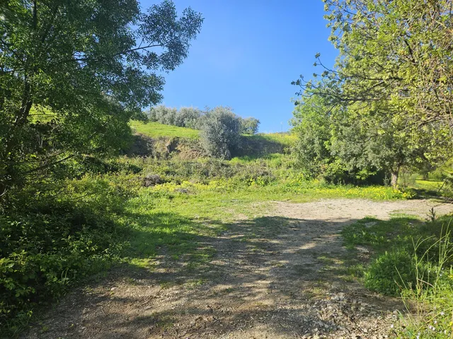 Finca rústica con olivos y cuadra en Casarabonela (Málaga) - foto 3