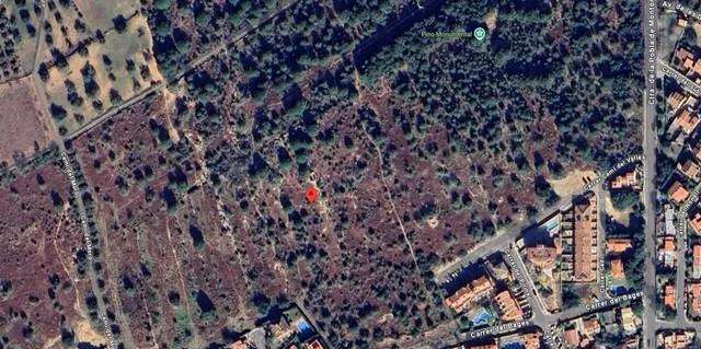 TERRENO RUSTICO EN TORREDEMBARRA - foto 3